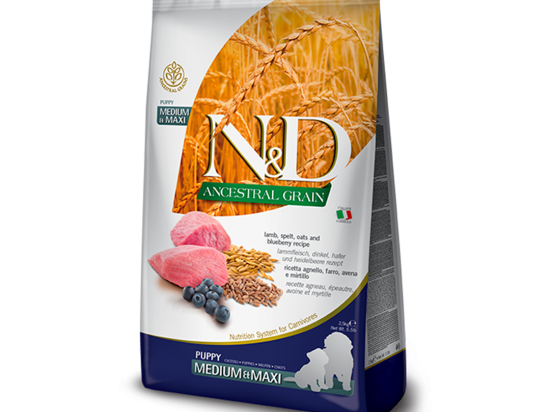 N&D Dog Ancestral Grain lamb, spelt, oats & blueberry puppy medium & maxi