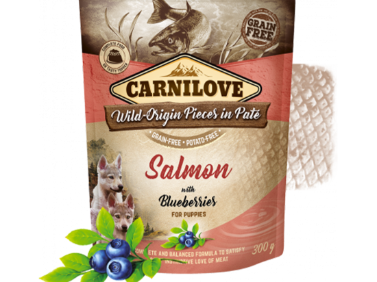 Carnilove Puppy Paté Salmon with Blueberries